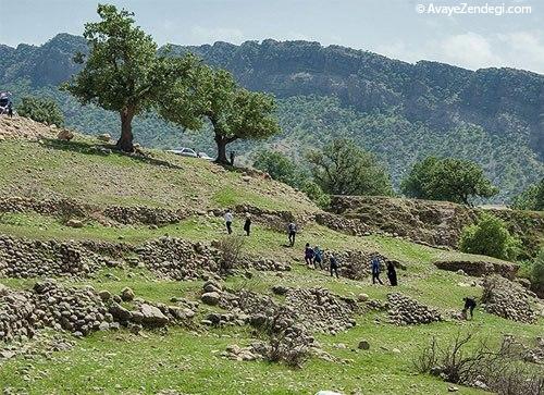  چهره بهاری خوزستان 