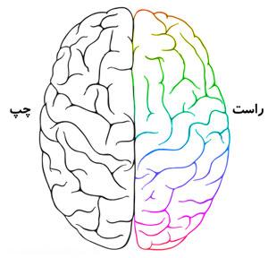  طالع بینی نیم کره های مغز 