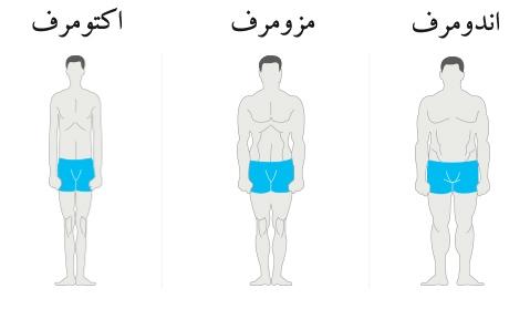 به چه مقدار کالری نیاز داریم؟ چه میزان کربوهیدرات و پروتئین باشد؟