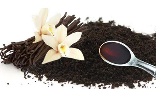 چه جوری بدون پول، شاد باشیم؟ چه جوری بدون پول، شاد باشیم؟