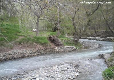 فرار از تهران به مقصد کردان فرار از تهران به مقصد کردان