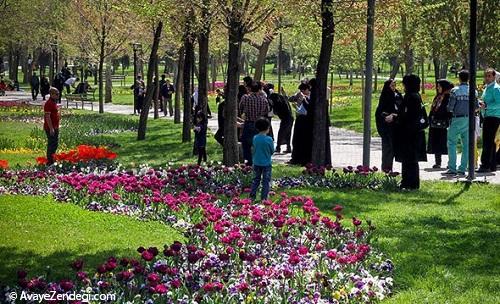 مشهد در تسخیر لاله هاست