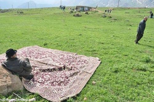 سلطنت یک روزه زنان در یک روستا (مراسم سنتی ورف چال)