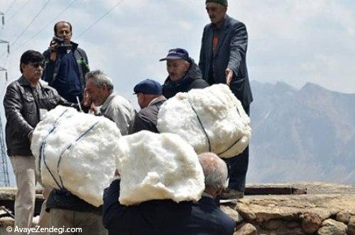 سلطنت یک روزه زنان در یک روستا (مراسم سنتی ورف چال)