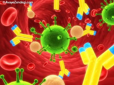 4 آنتی بیوتیک صددرصد طبیعی