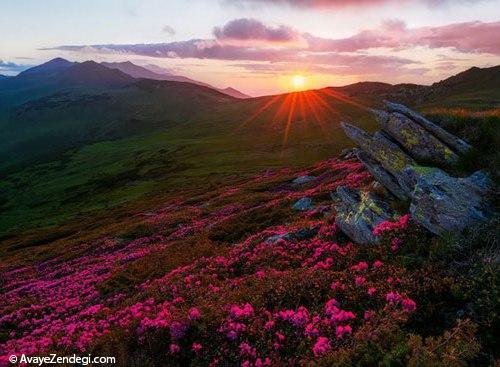  رومانی؛ مهد فرهنگ و زیبایی 