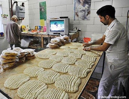 بربری با طعم کتاب
