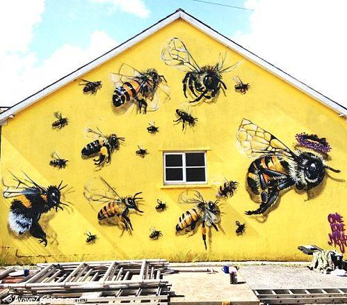 زنبورهای زیبا بر روی دیوارهای شهر
