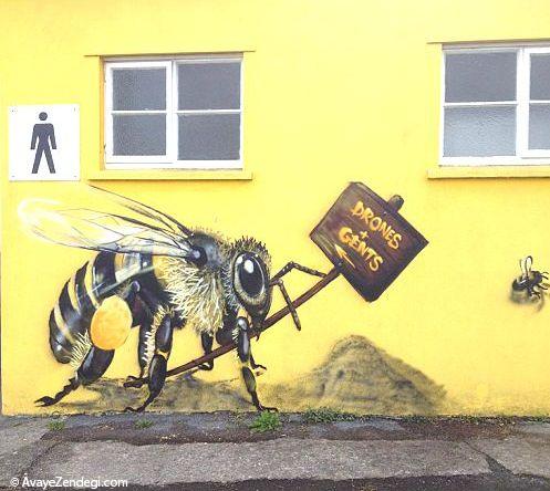  زنبورهای زیبا بر روی دیوارهای شهر 