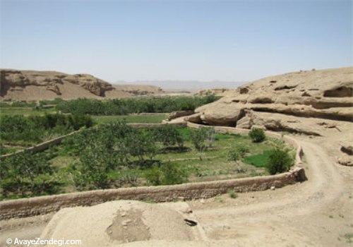 برادرخوانده کندوان را در کرمان ببینید