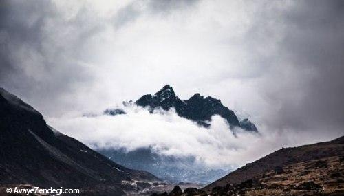 یک اقدام خیرخواهانه با کمک عکاسی