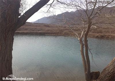 غربال بیز در مه ریز غربال بیز در مه ریز