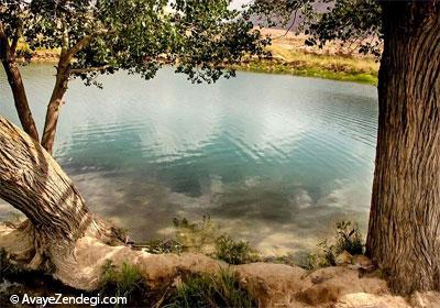غربال بیز در مه ریز غربال بیز در مه ریز