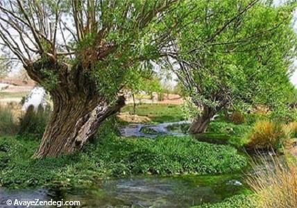 غربال بیز در مه ریز غربال بیز در مه ریز