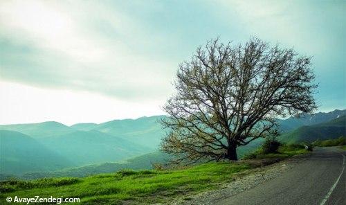 اینجا چشم هایتان نفس می کشند!