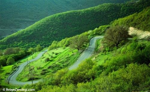 اینجا چشم هایتان نفس می کشند!