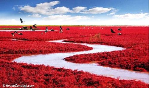 مکان های رویایی ولی واقعی روی زمین مکان های رویایی ولی واقعی روی زمین