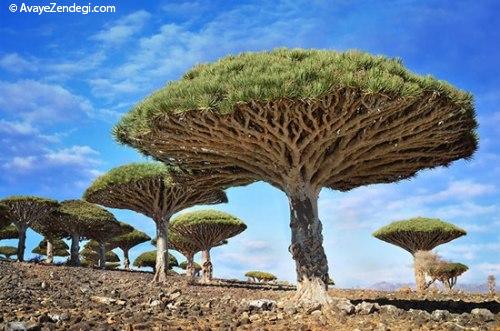 مکان های رویایی ولی واقعی روی زمین مکان های رویایی ولی واقعی روی زمین