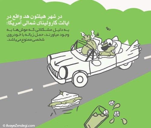 قوانین جالب رانندگی در کشورهای مختلف!