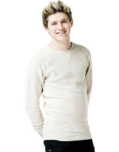 پسرهای پردردسر 1D را بیشتر بشناسید پسرهای پردردسر 1D را بیشتر بشناسید