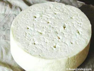  5 دلیل خوب برای مصرف پنیر بز 
