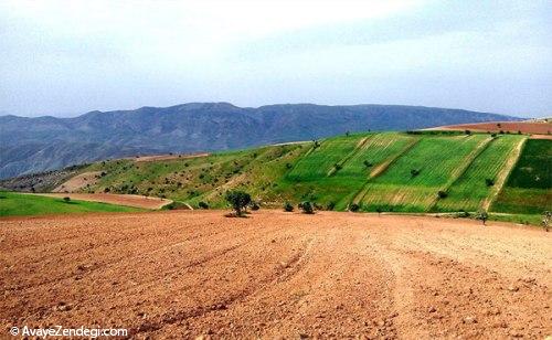 روستای قوردانلو