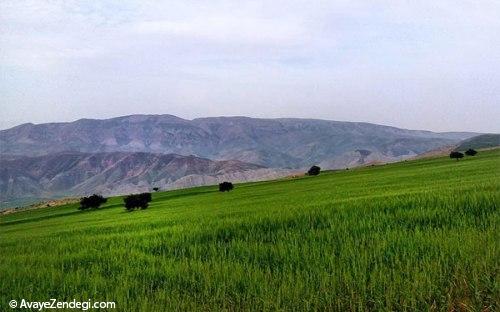 روستای قوردانلو