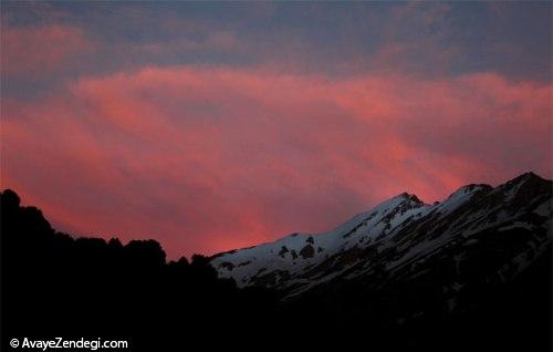 زندگی در «شول آباد»