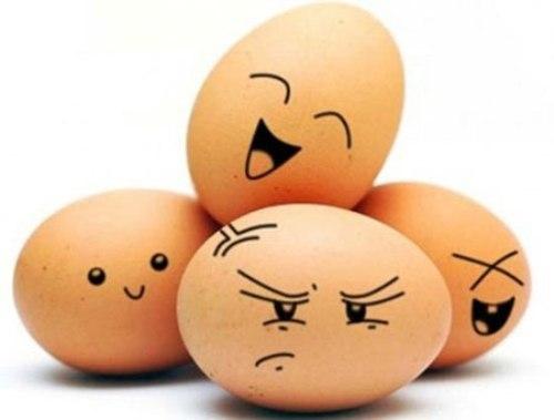 عکس های جالب و دیدنی از تخم مرغ ها