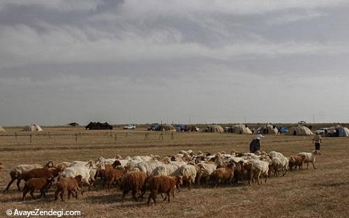 جشنواره کوچ عشایر در اردبیل