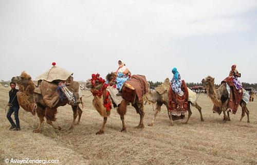 جشنواره کوچ عشایر در اردبیل