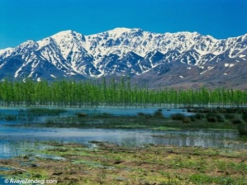تالاب بین المللی و زیبای چغاخور