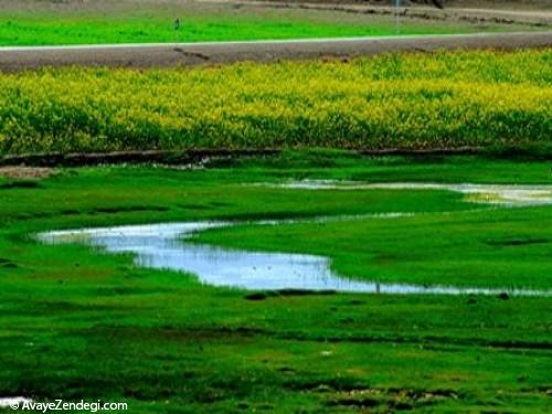 تالاب بین المللی و زیبای چغاخور