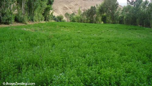 4 جای دیدنی ایرانی که نامشان را نشنیده اید 4 جای دیدنی ایرانی که نامشان را نشنیده اید