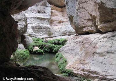این مناظر را هیچ جایی جز داراب نخواهید دید این مناظر را هیچ جایی جز داراب نخواهید دید