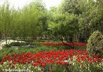 پارکی که در تهران باید ببینید پارکی که در تهران باید ببینید