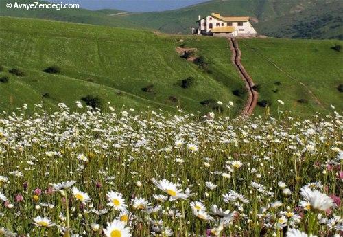 بهشت بابونه در ایران