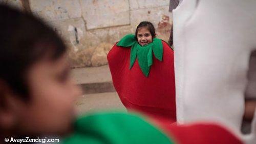 جشنواره مبارزه با گوجه‌فرنگی