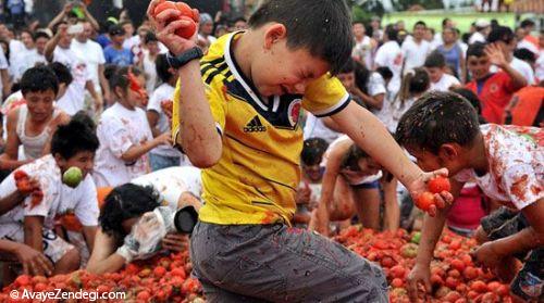 جشنواره مبارزه با گوجه‌فرنگی