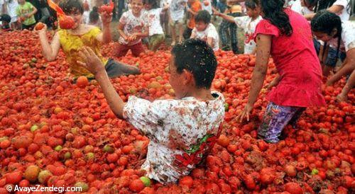 جشنواره مبارزه با گوجه‌فرنگی