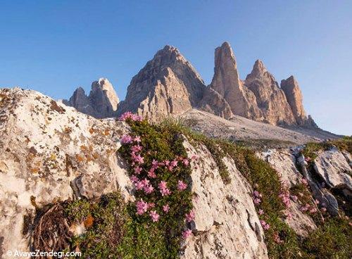 سفری تصویری به رشته کوه های دولومیتی