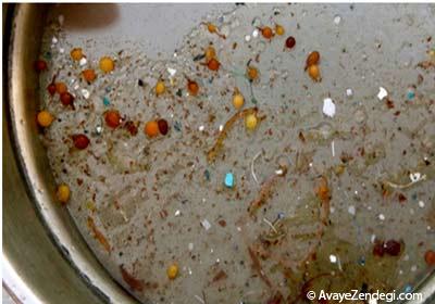 به سیاره پلاستیک خوش آمدید