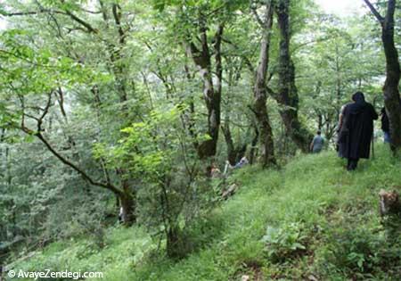 اگر به دنبال مقصد خنک و سرسبزی برای سفر هستید !