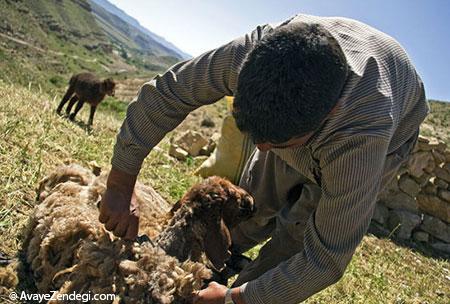  روستای زیبای بقمچ 