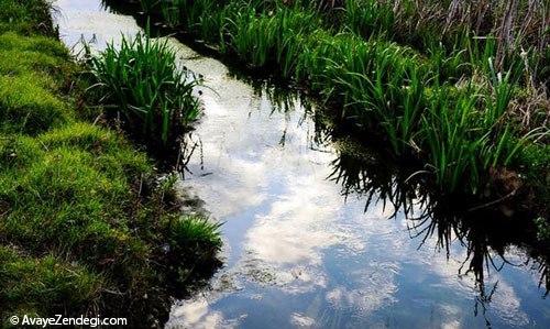 سفر در جاده‌ای رویایی با مقصد «رامسر»
