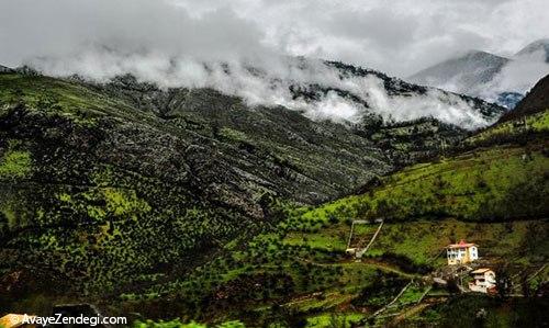 سفر در جاده‌ای رویایی با مقصد «رامسر»