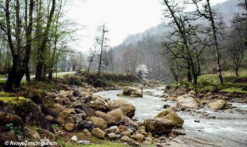 سفر در جاده‌ای رویایی با مقصد «رامسر»