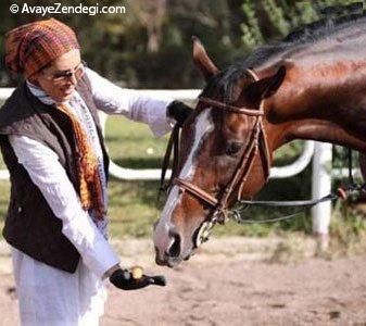 تغذیه اسب و اطلاعات مفید آن 