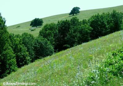 سفر به جای پای خورشید 