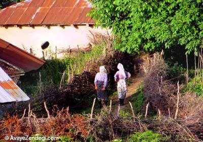 سفر به جای پای خورشید 